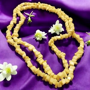 Wisconsin Monarch's "White Knights" 33" Chunky Boho Necklace